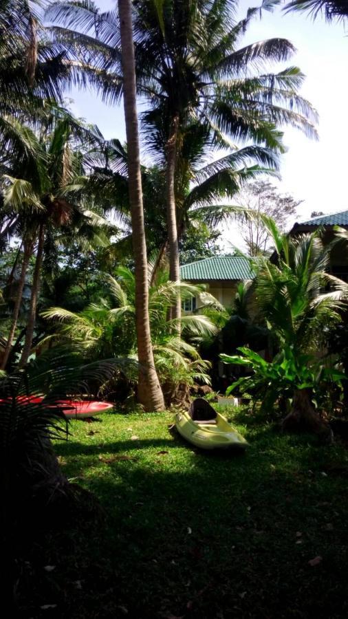 Paradise Palms Csang-sziget Kültér fotó